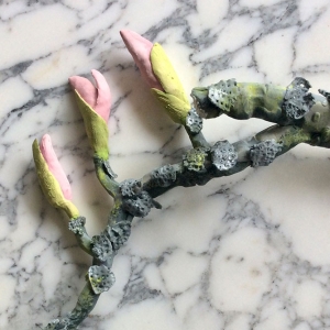Blossoms on a Branch