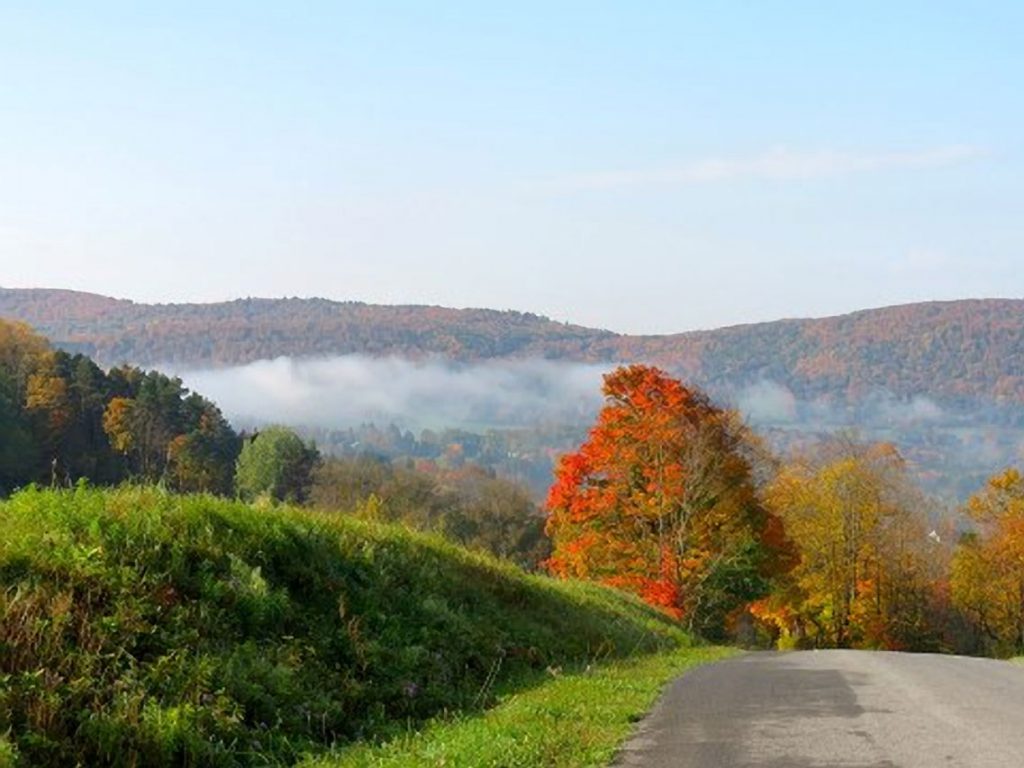 The BlueBerry Barn at Stagecoach The BlueBerry Barn at Stagecoach