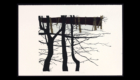 Winter On Loomis Brook