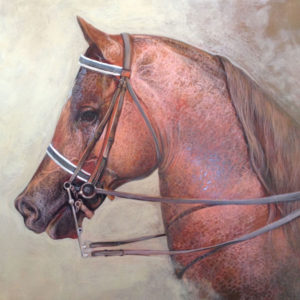 Frank Anthony, Horse 2016