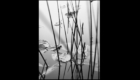 Invisible landscapes 6