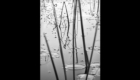 Invisible landscapes 5