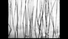 Invisible landscapes 4
