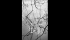 Invisible landscapes 2