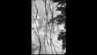 Invisible landscapes 1