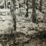 Detail, My Woods July by Richard Kathmann