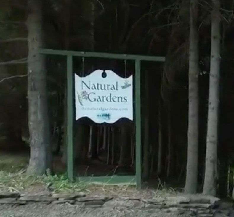New Venue: The Natural Gardens