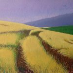 Yellow Field by Jane Carr