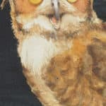 Great Horned Owl by Doug Jamieson