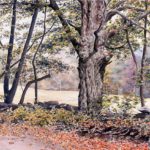 Fall, Stoddard Hollow by Karen Graves