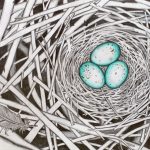 Nest, graphite by Sara Latham