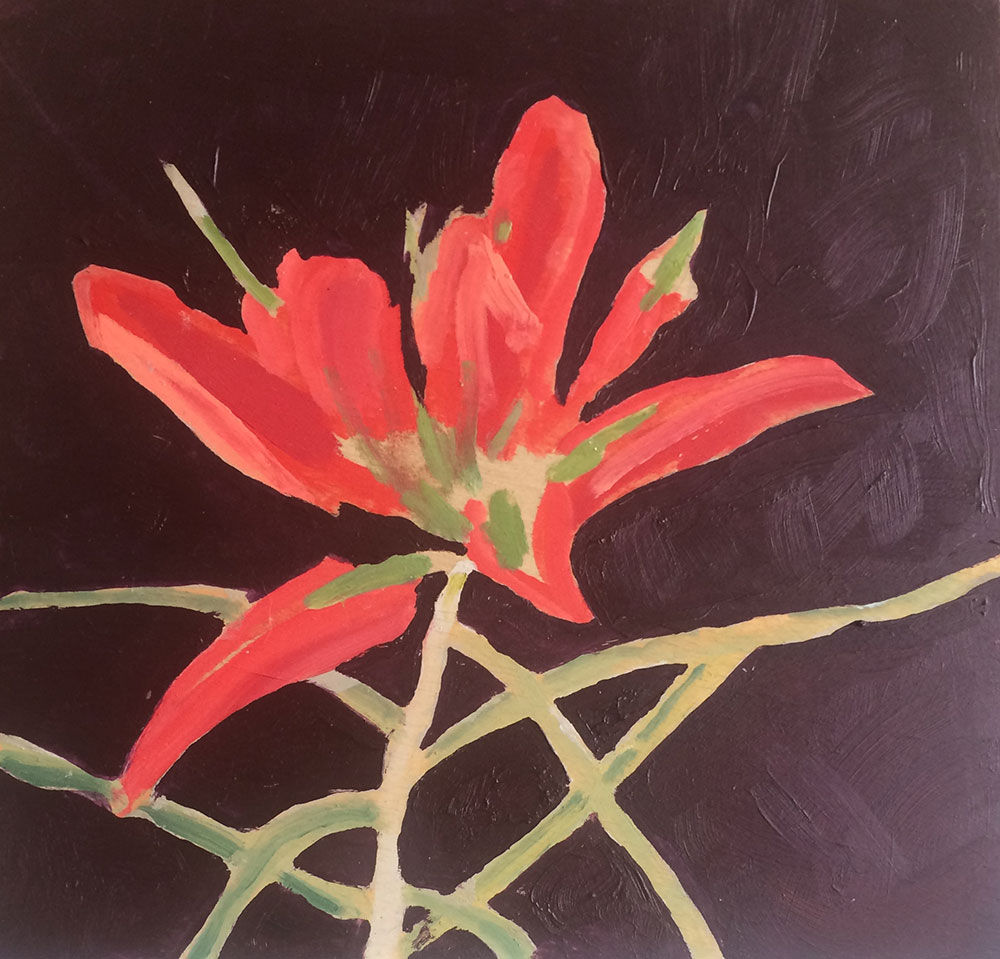 Kathmann-indian-paintbrush - Stagecoach Run Art Festival