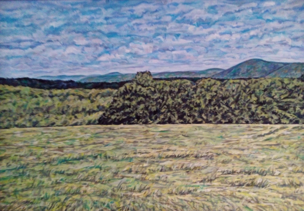 View From Spring Valley Road